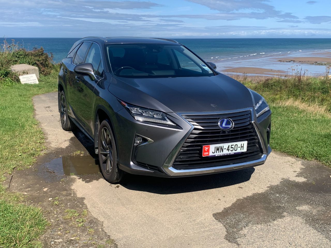 2019 Lexus RX 450h L