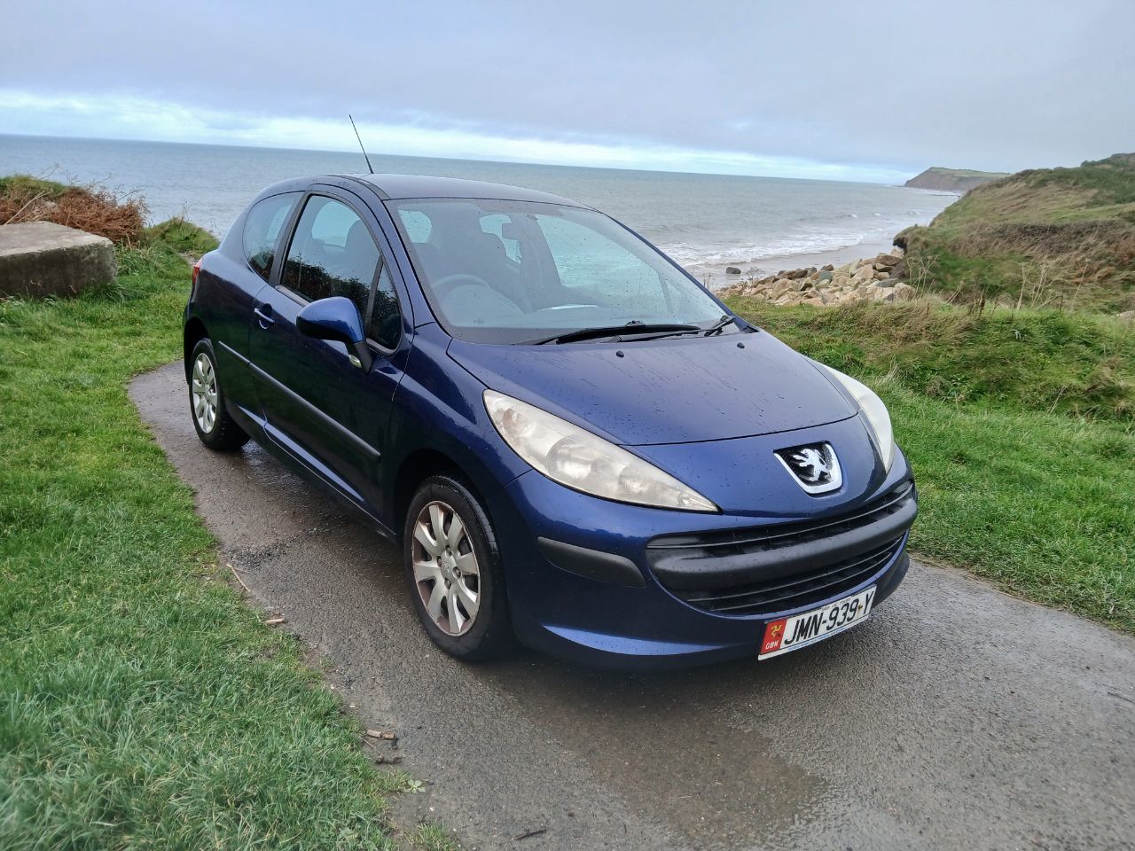 2006 Peugeot 207